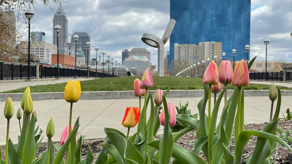 Things to do this spring 2023 in Indianapolis, IN - INDYtoday