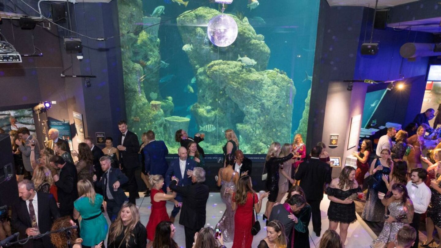 Announced SC Aquarium’s annual Sea Life by Starlight CHStoday