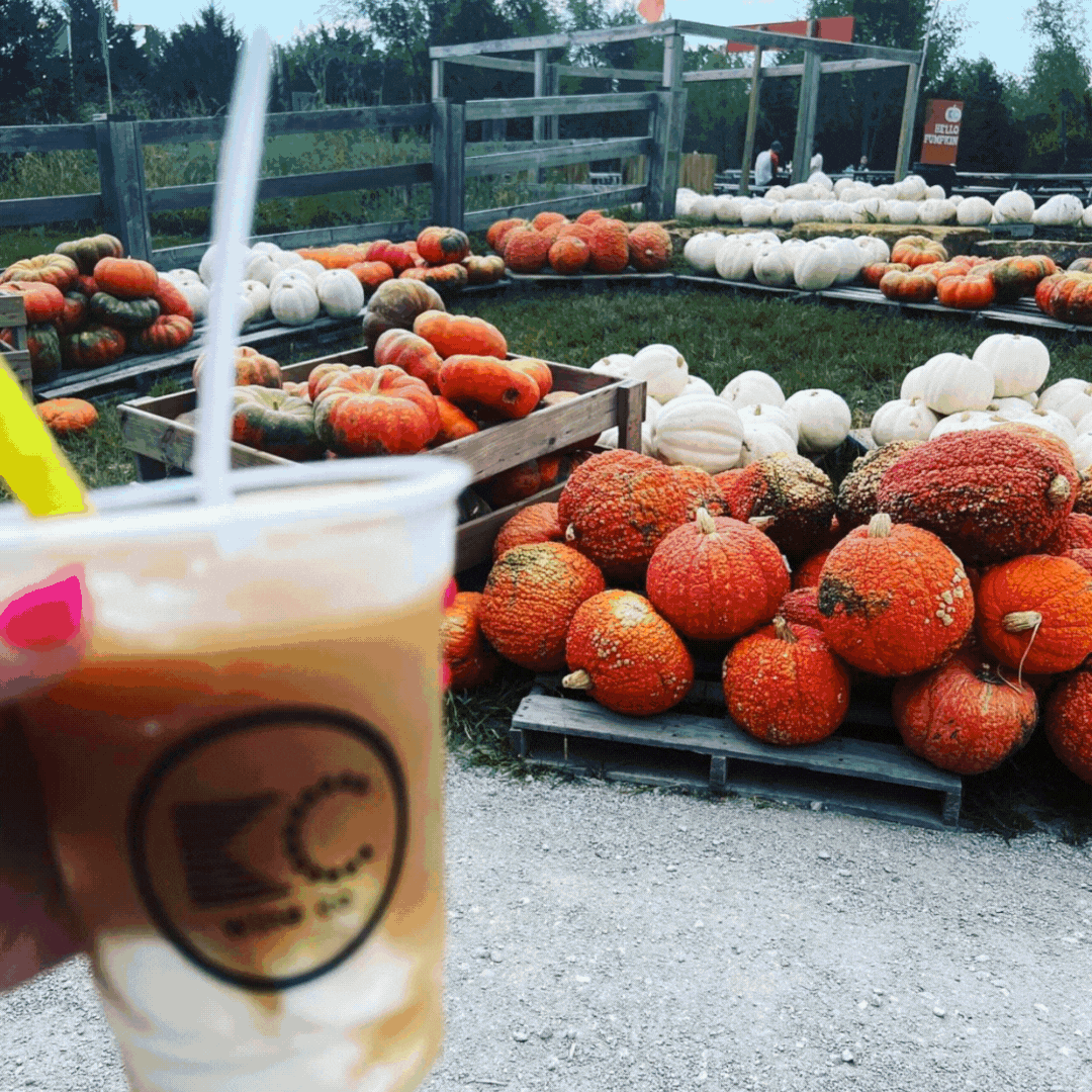 Family KCtoday family-kctoday