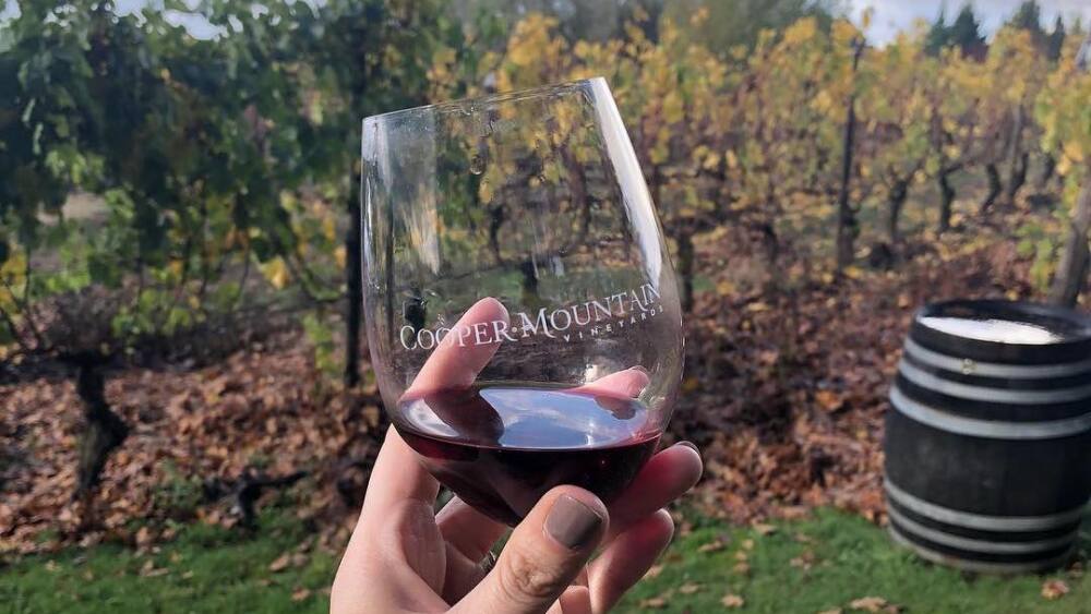 A hand holds a glass of red win in front of a vineyard