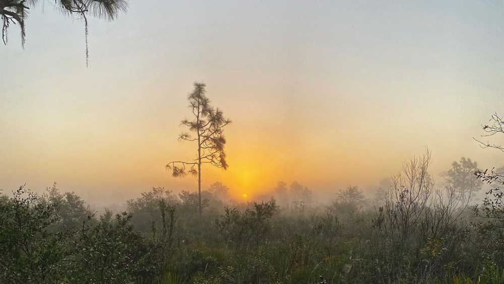 The sun is rising over a hazy horizon.