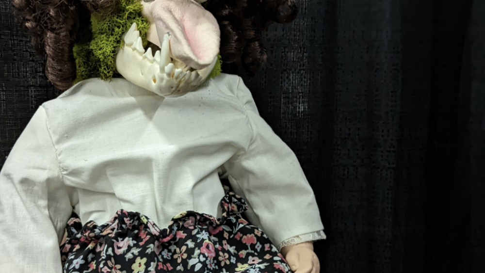 Oddities and Curiosities Expo