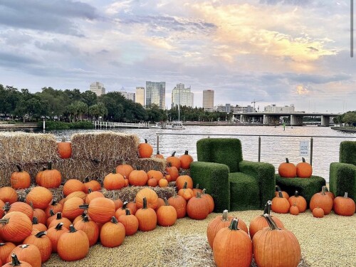 A pumpkin patch sits by the Hillsborough River outside Armature Works. The Tampa skyline is in the background.