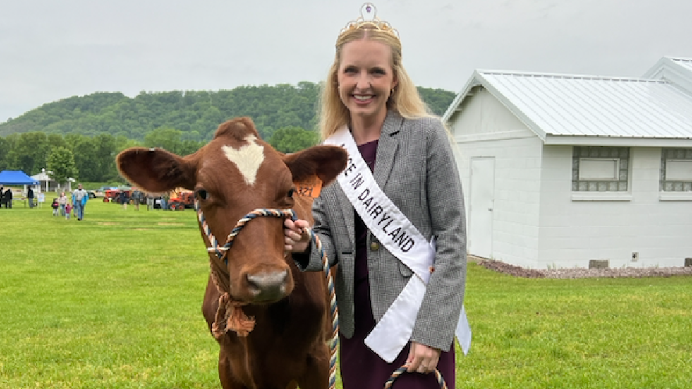 A young woman in a black dress wearing a sash and tiara stands next to a dairy cow.png