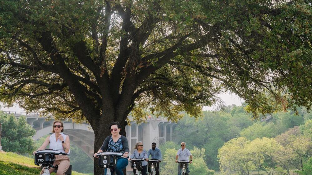 Photo of people riding bikes under trees. 