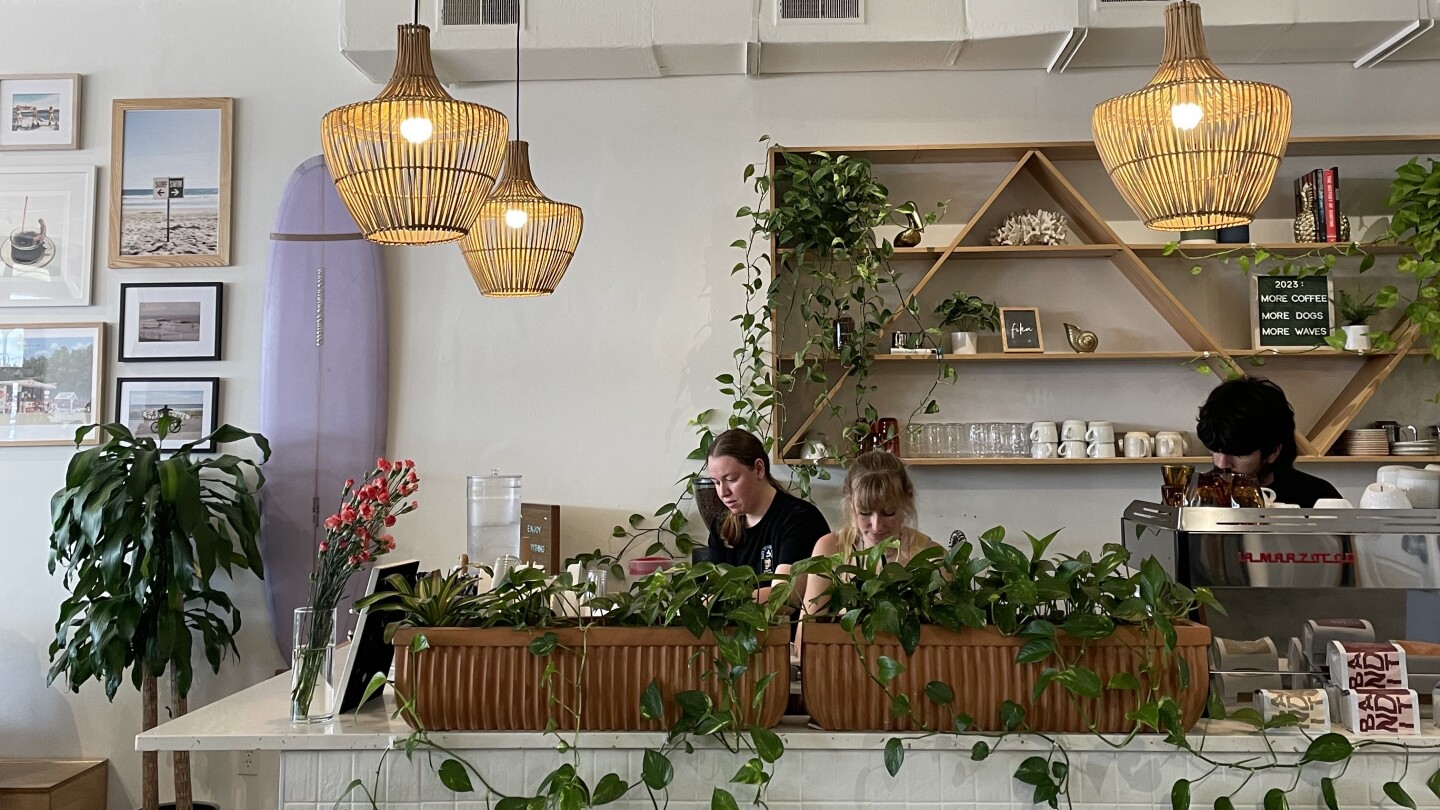 Canine Elegance at Tampa Dog Show 2022