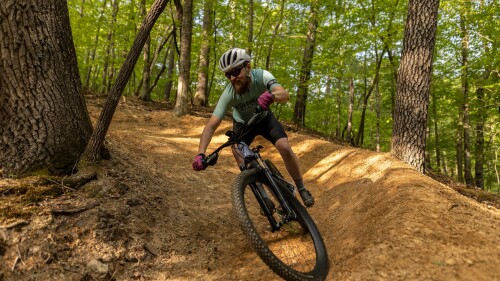 A cyclist biking on an outdoor trail in the woods.
