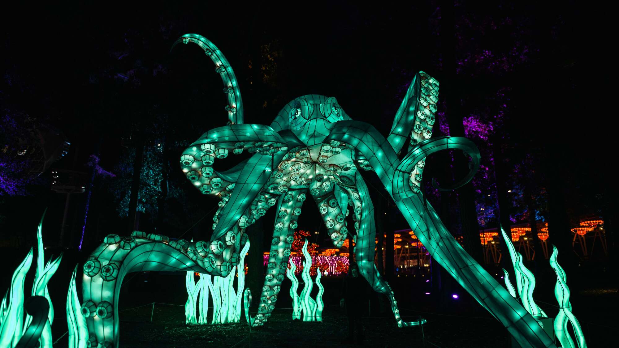 The NC Chinese Lantern Festival In Cary NC RALtoday the-nc-chinese-lantern-festival-in-cary-nc-raltoday