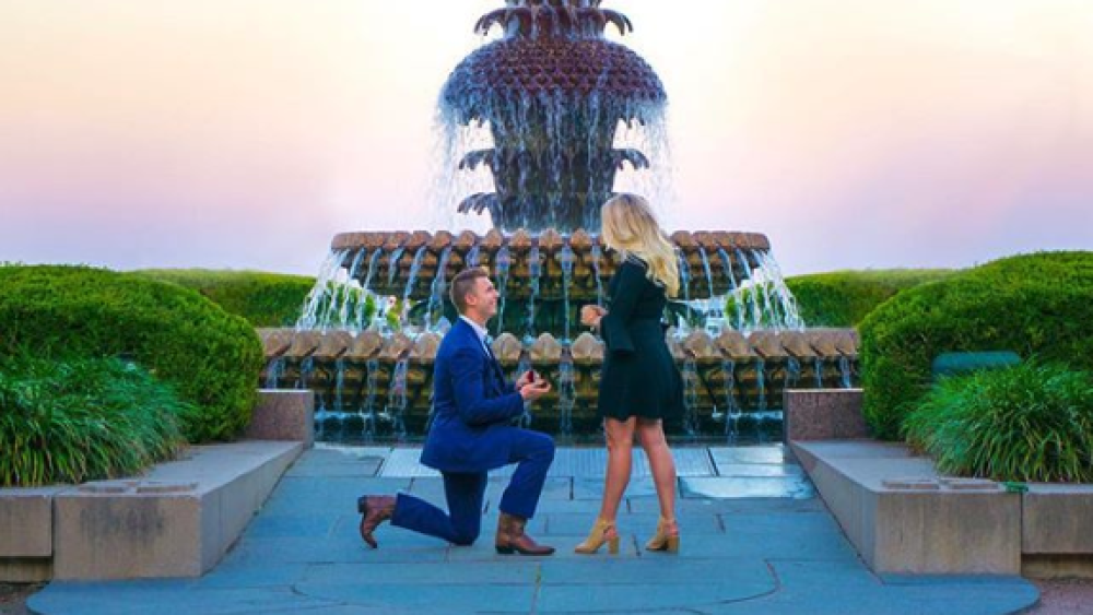 pineapple fountain proposal