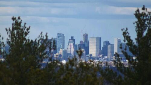 At the end of your hike, soak in this classic skyline view at Blue Hills. | Photo via @morvant_carley