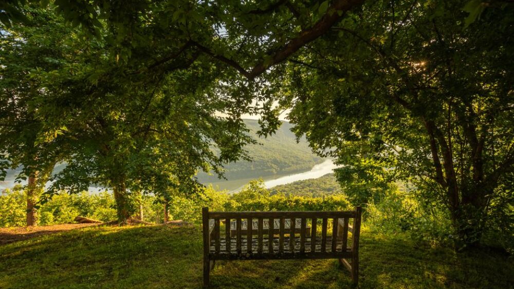 901 Skillet Gap Rd-8 (1)