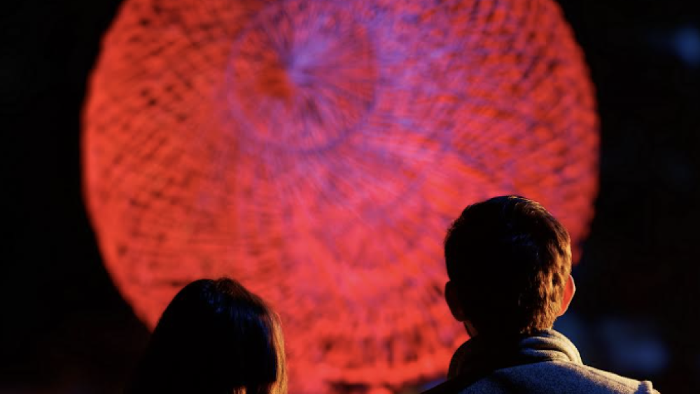 What you can expect from Rock City Nights: Flora Luna - NOOGAtoday