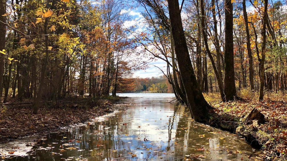 A small, still waterway tucked between two pieces of land leads to a clearing and larger body of water. Leaves fill the ground and the trees are covered in orange hues, indicating fall.