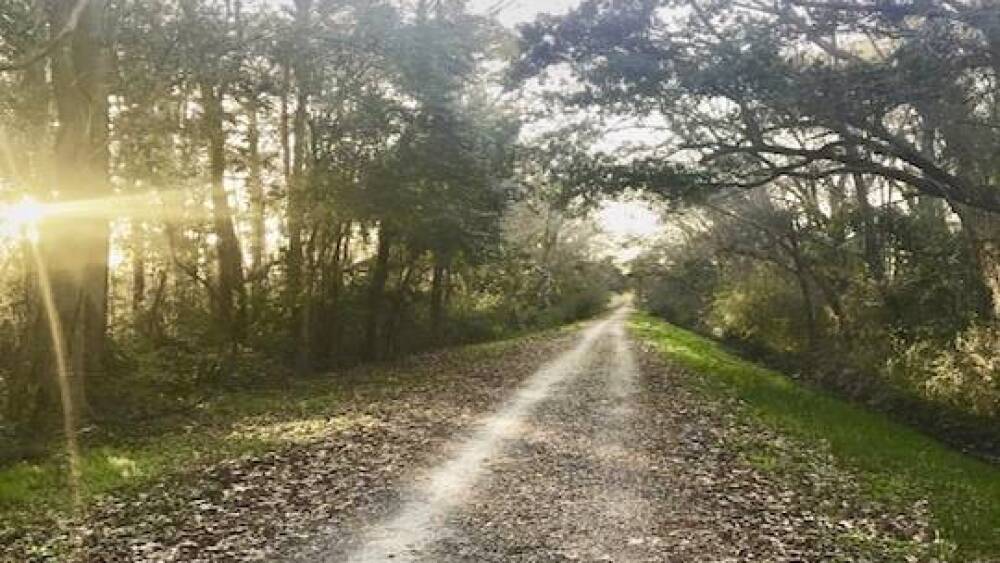 West Ashley Greenway trail