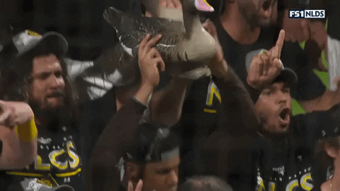 San Diego Padres Goose