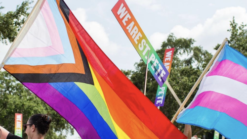 Flags with LGBTQ+ coloring fly through the air at St. Pete Pride. Several banners reading "We are St. Pete" are also visible within the crowd of people walking away from the camera. There are trees in the background and a partially cloudy sky ahead of the crowd.