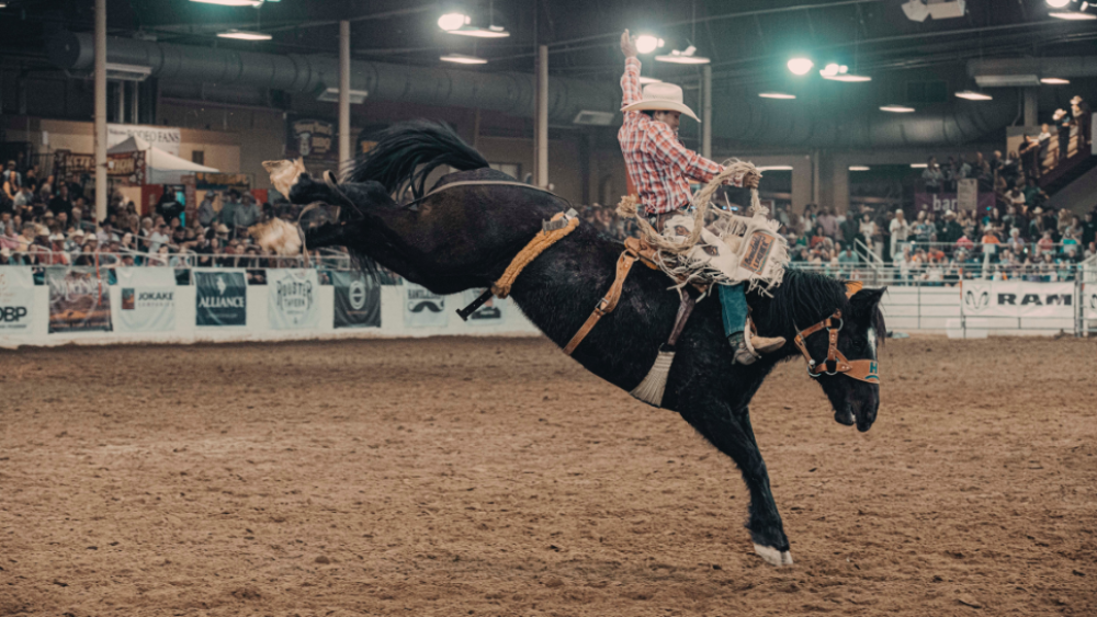 CBUStoday rodeo generic