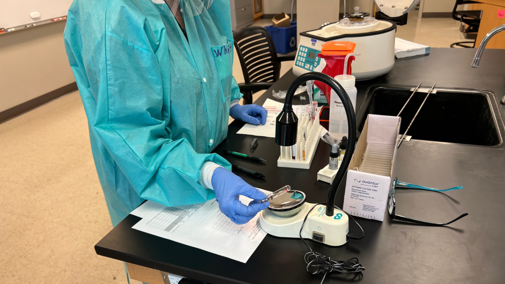 Try This: Peek behind the scenes of the Medical Lab Technician program ...