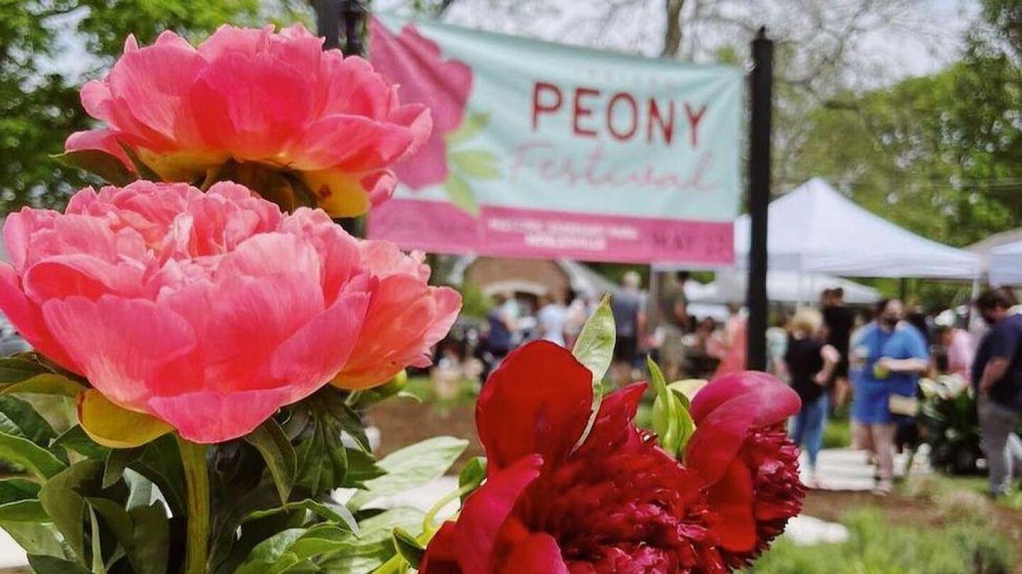 Noblesville Peony Festival 2025