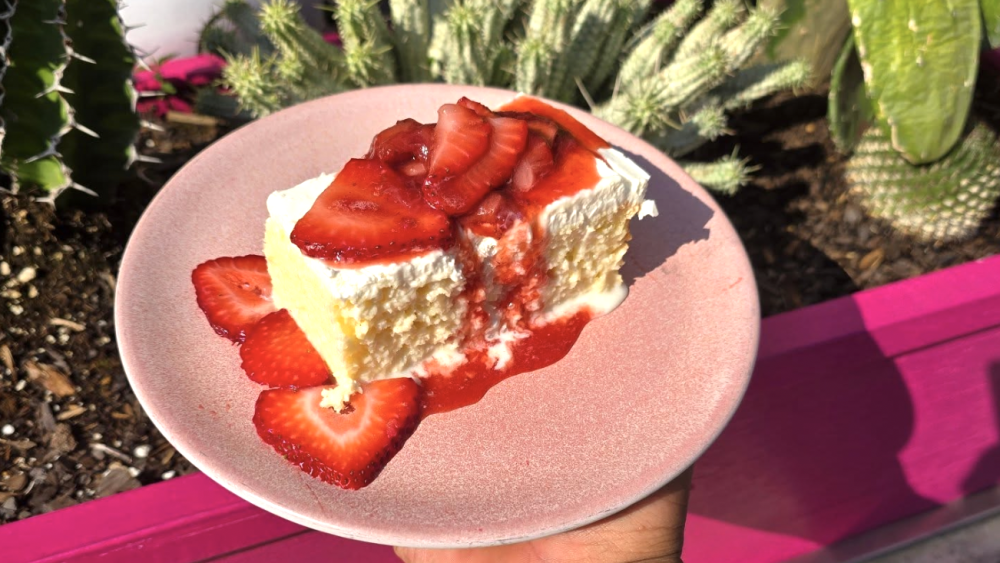 A photo of tres leches cake with strawberries on it. The cake is on a pink plate in the sunlight with a hand underneath it. Strawberry syrup or coulis is pouring down the side of the slice.