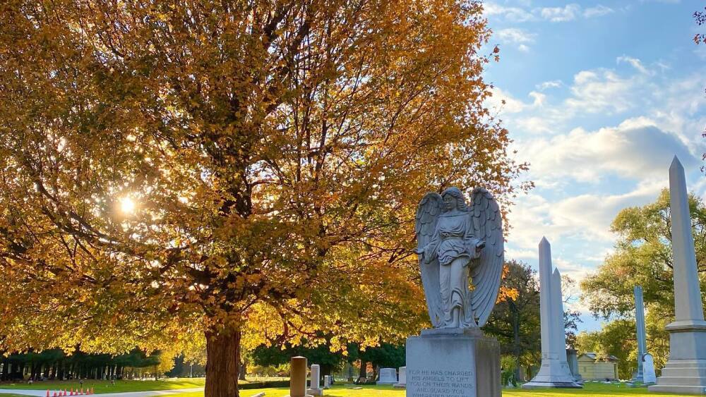INDYtoday: INDY_Crown Hill Cemetery fall leaves foliage_OCT24