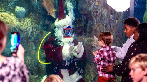 Santa Claus diving underwater with kids watching.