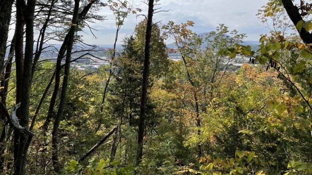 Mountain Biking view from Stringers Ridge