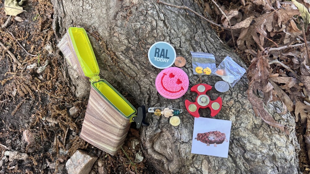 Small treasures laid out on a tree trunk.