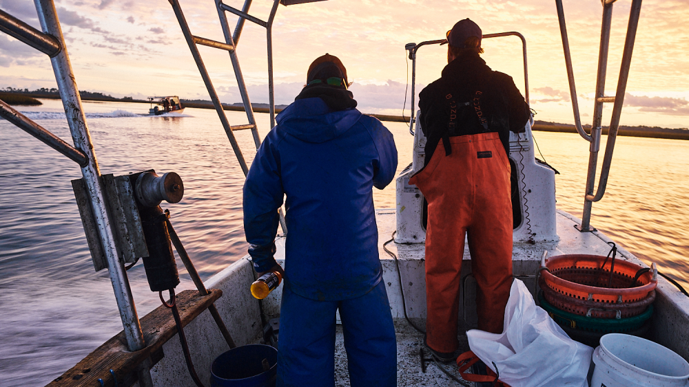 Oyster-Farmers-Check-on-Oyster-Cages