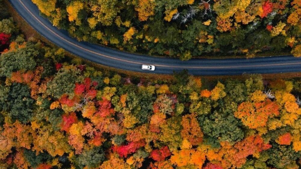 fall-peak-weeks-843aerial-avltoday