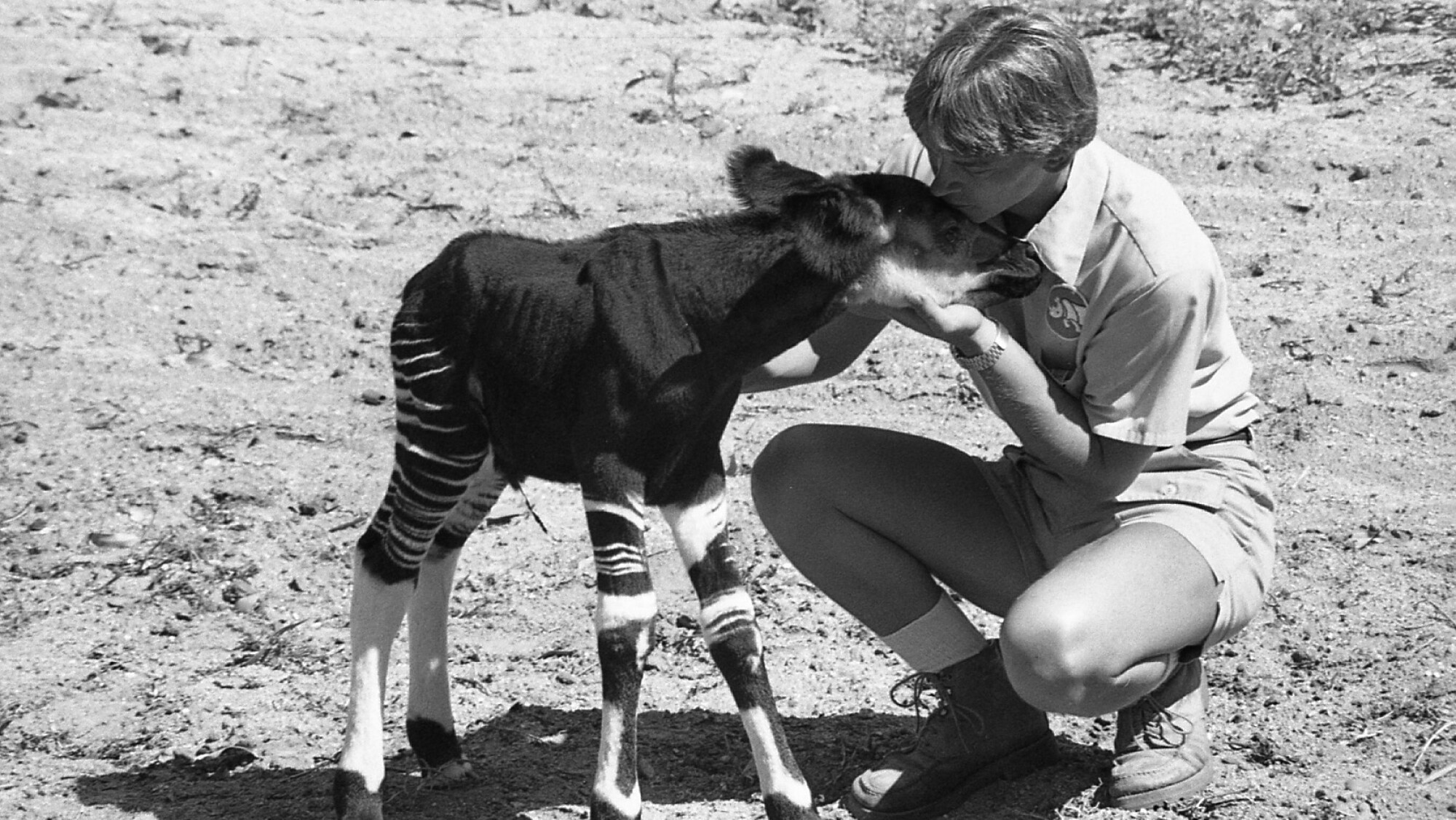 California State University San Marcos looking to identify photos for ...