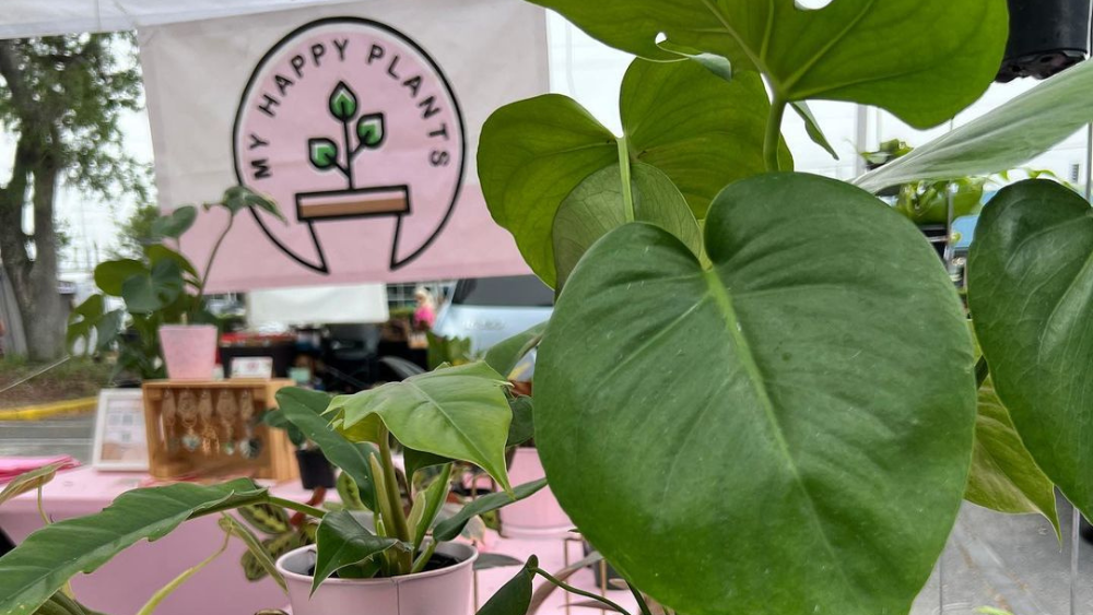 Green, leafy plants in pots and stands on a pink table in a farmers market booth table. A sign reads "My Happy Plants."