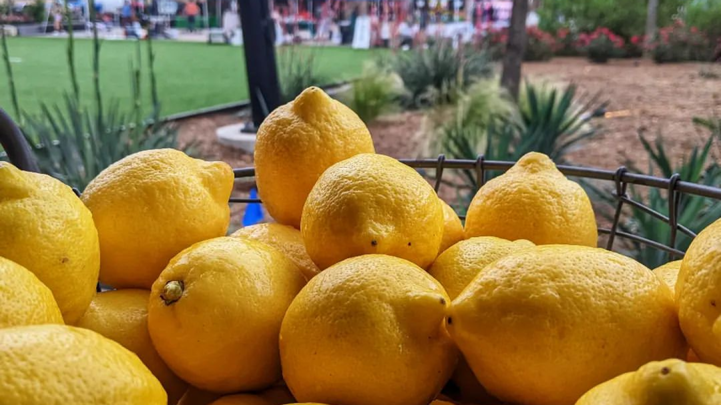 Farmers Markets In Austin TX ATXtoday farmers-markets-in-austin-tx-atxtoday