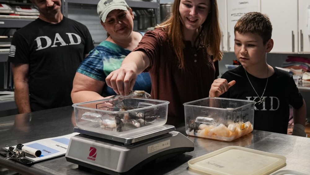 A family watches their daughter measure out food on a scale for a stingray's meal.