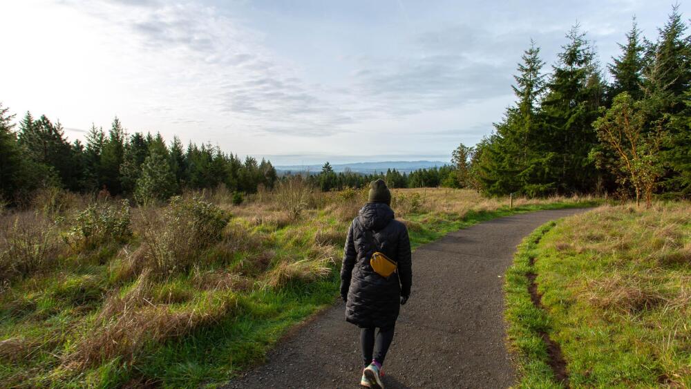 A person walks on a path with forest and grassland