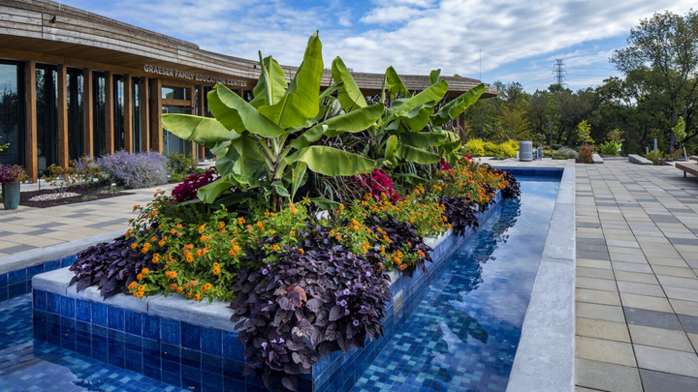 Four places where you can see spring flowers at their peak in ...