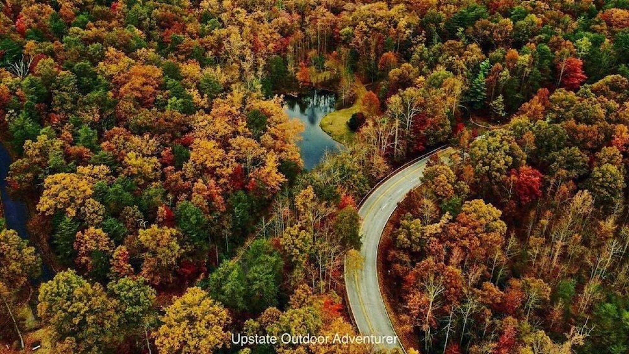 Here's when you should hit the road to see fall foliage near Greenville ...