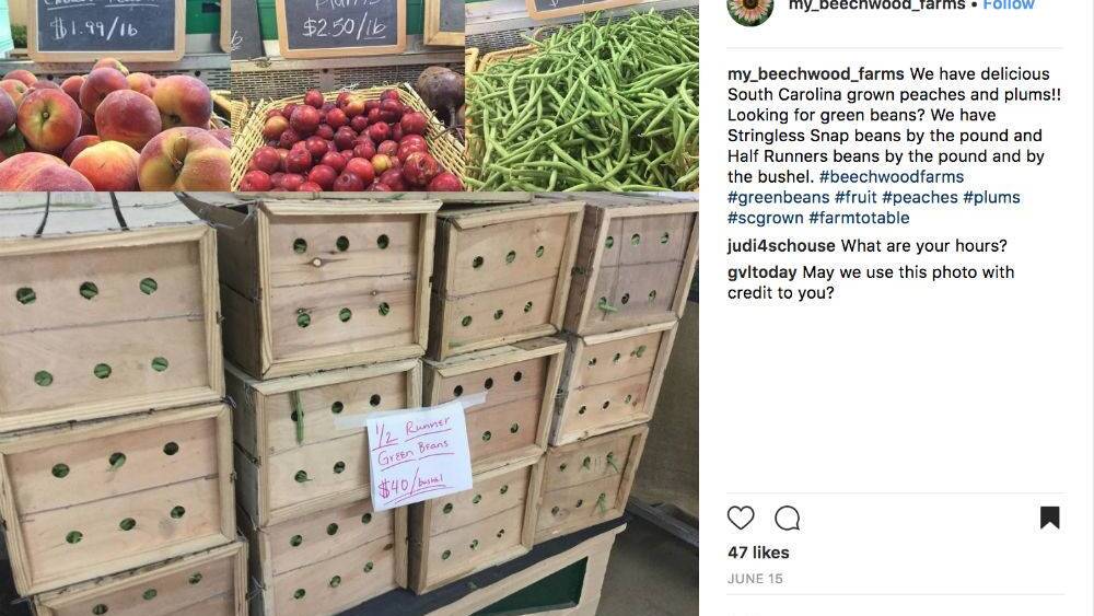 Beechwood Farms peaches