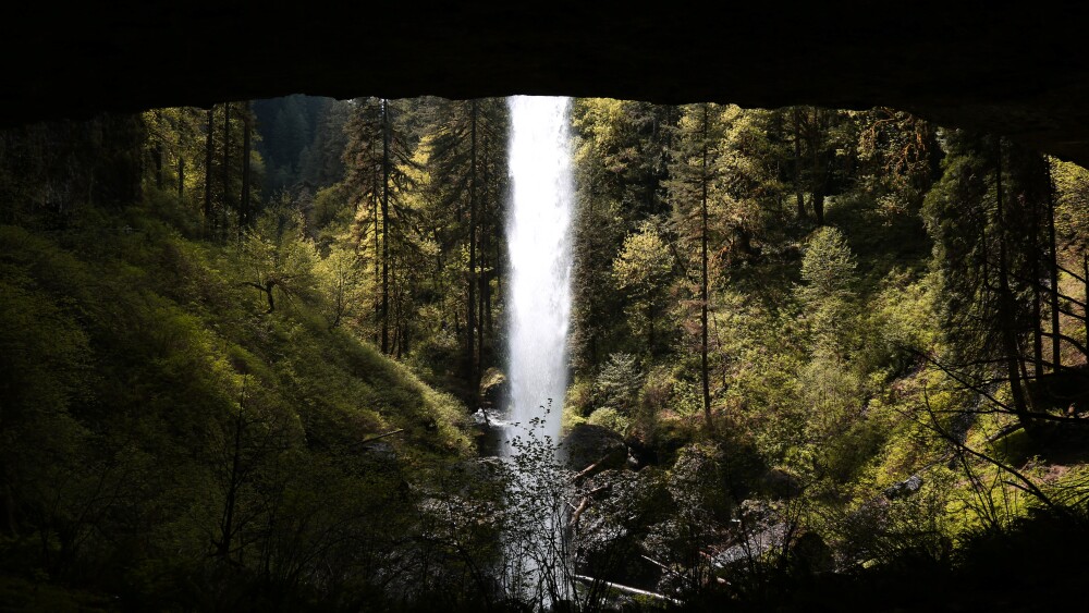 Looking out from behind a thin waterfall upon a forest of evergreen and deciduous trees.