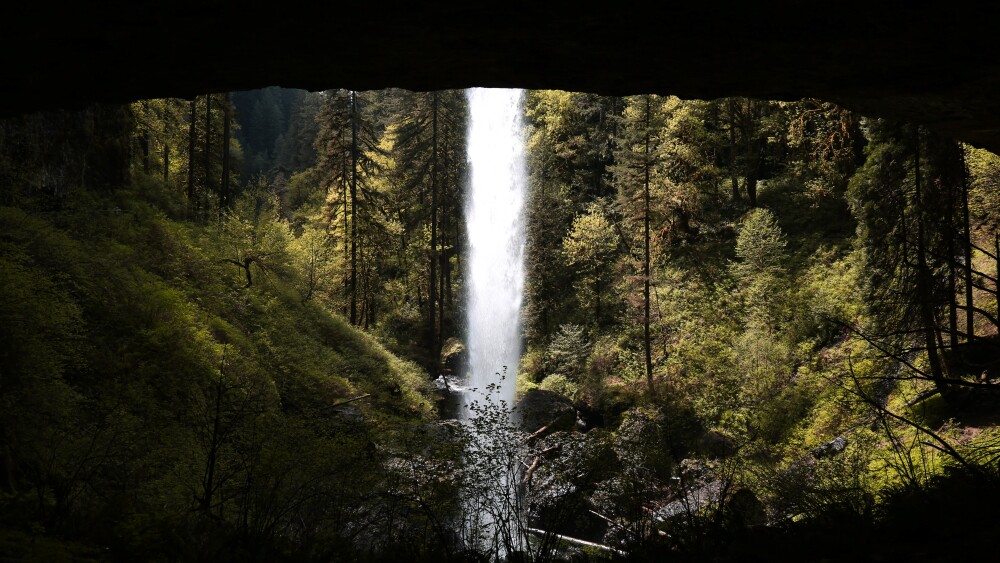 Looking out from behind a thin waterfall upon a forest of evergreen and deciduous trees. 