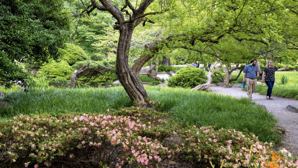 GreatEscapes_Birmingham_BotanicalGardens_Chris Granger.png