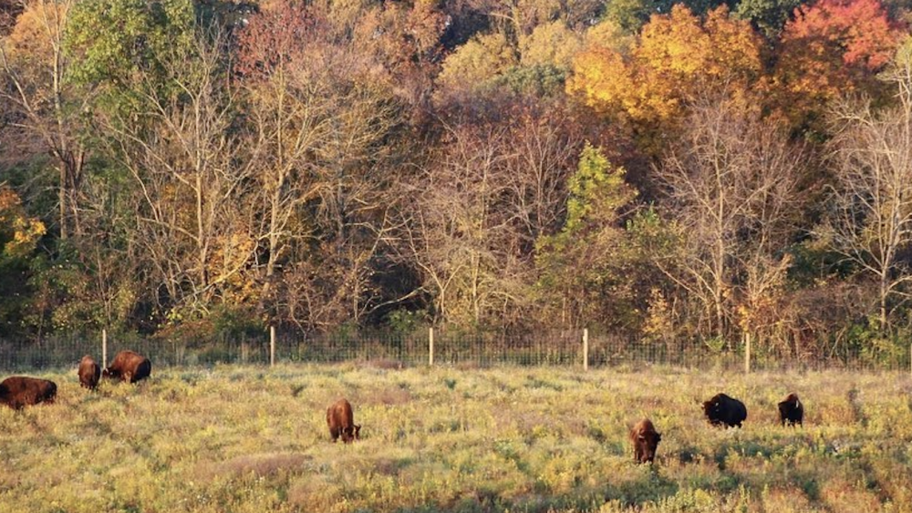 CBUStoday Battelle Darby Creek.png