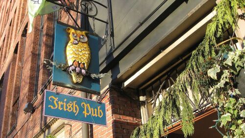 The sign for Irish pub Owl n' Thistle, which depicts a gold owl sitting on a branch, hangs from a brick wall.