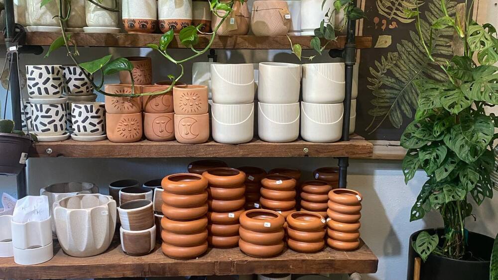 A shelf with pots surrounded by plants
