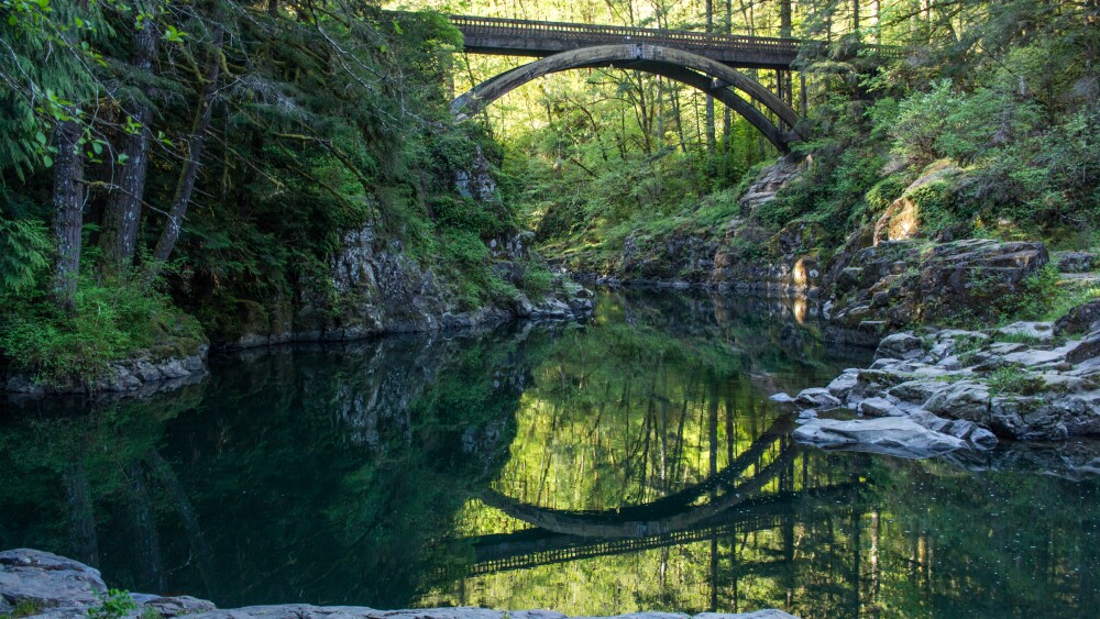 A bridge spans a forested canyon