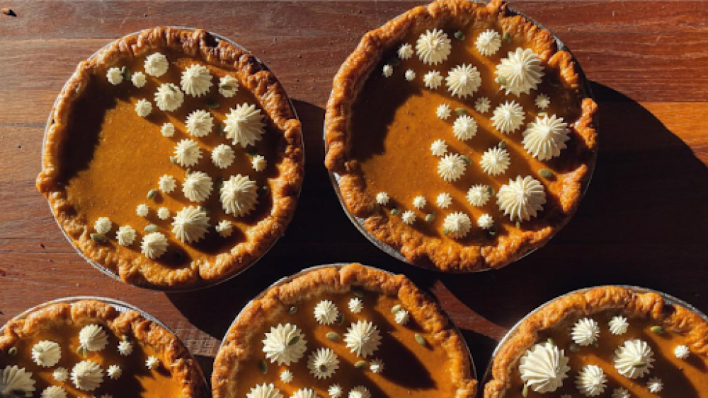 Overhead shot of five pumpkin pies with whipped cream dollops