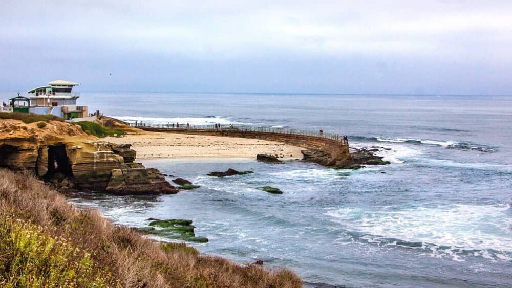 Children's Pool La Jolla