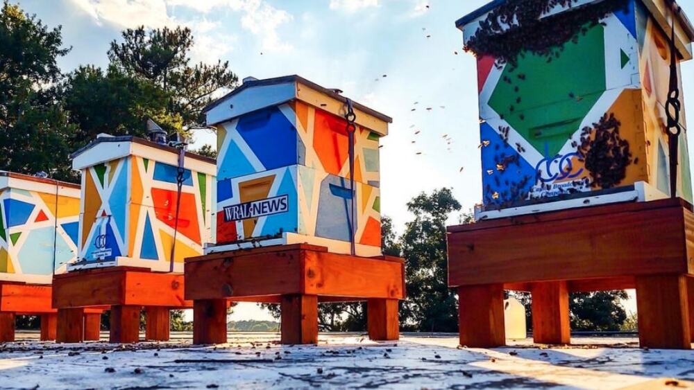 Webp.net-compress-image (57)