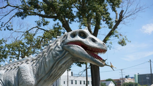 Jurassic Experience TBAY