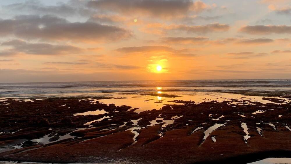 Encinitas Sunset